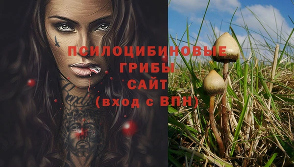 ECSTASY Алексеевка