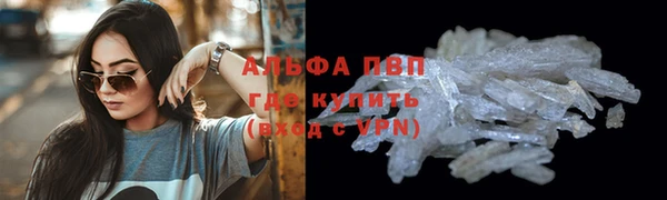 амф Алексин