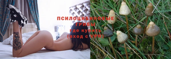 ECSTASY Алексеевка