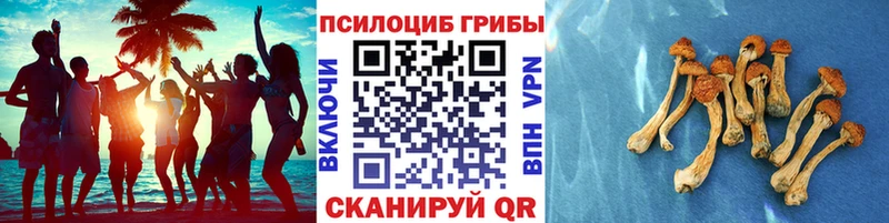 Галлюциногенные грибы GOLDEN TEACHER  продажа наркотиков  Красноярск 